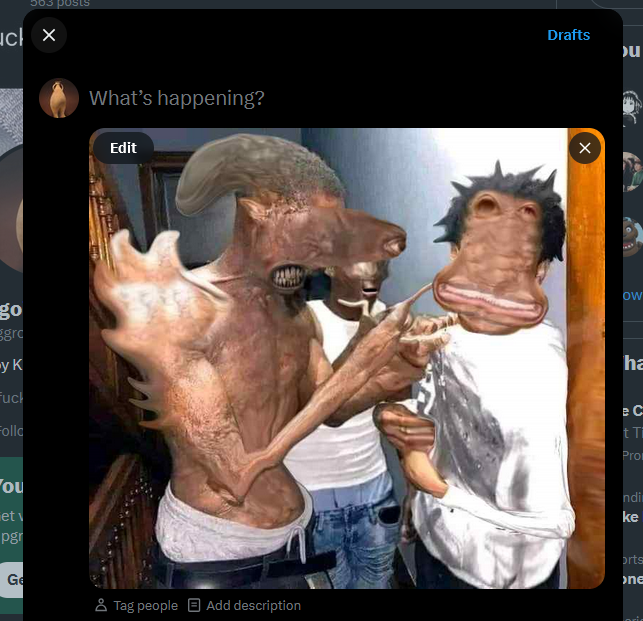 eggoid tweet media