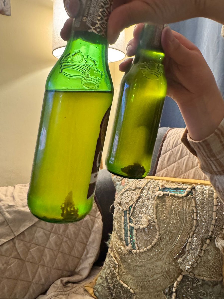 conny_ej's tweet photo. @cervecerian hola! Es normal esto en la nueva club trigo ?.. acabo de comprar un six pack todas están así.. sedimento grumoso oscuro y no se disuelve .. @SupermaxiEcu https://t.co/ILusR8oRtS