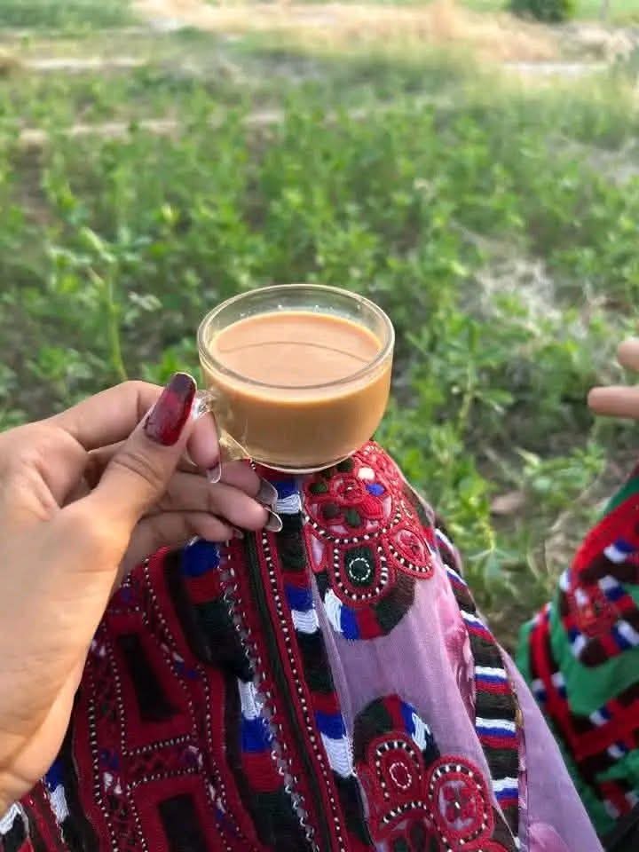 🌹😍🤍هيله او ژوند tweet media