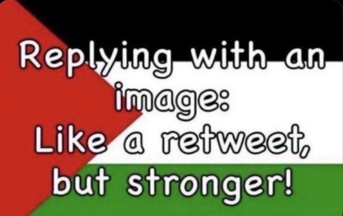 Watermelon Turtle tweet media