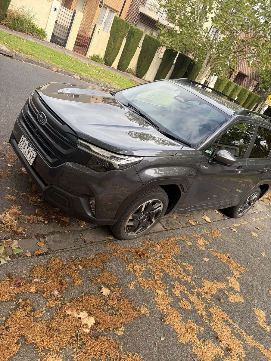 今日の明日までの愛車
いつもの安いコンパクトカーを予約したのにないからこれでいいっ？ってなって高級車になってしまった
ただでさえ金ないのにな