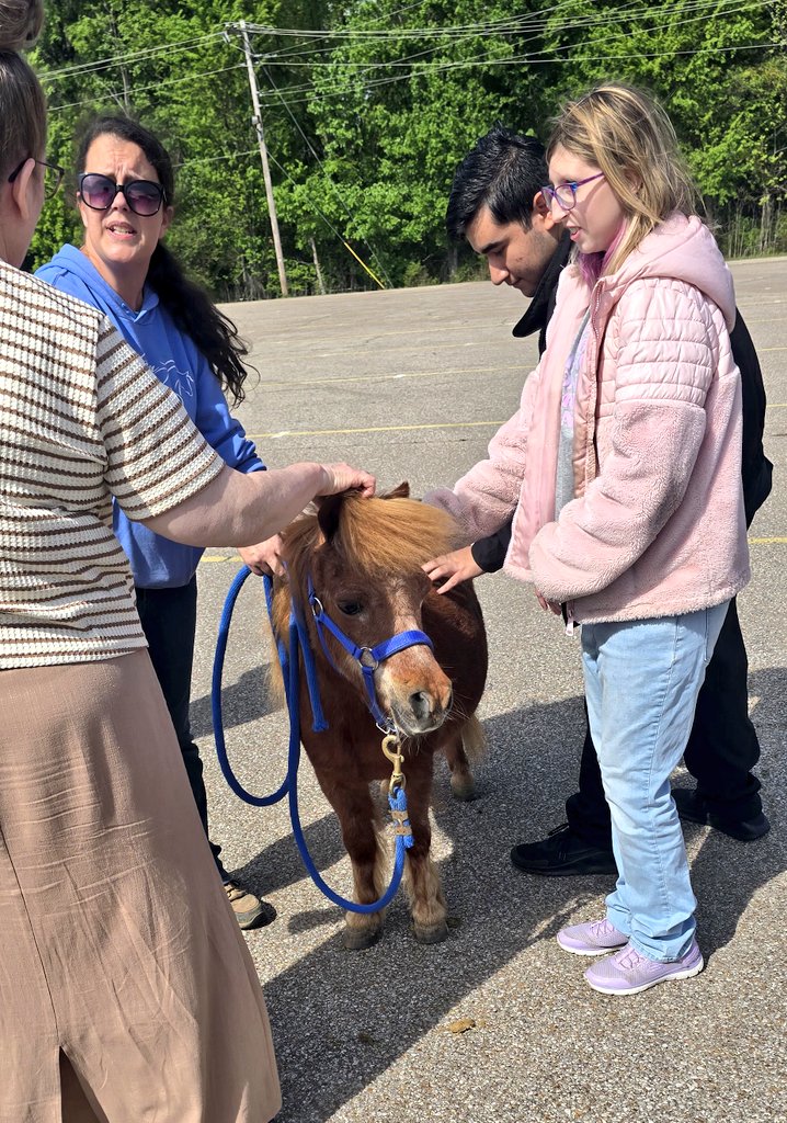 ChhsMightyStang's tweet photo. Thank you @SouthernReins for an awesome experience! #Therapy #Pony https://t.co/vRbywiiRYG