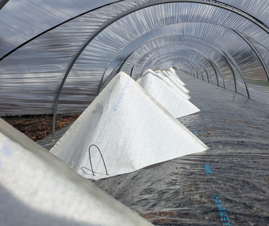 KIRI_MOG tweet media