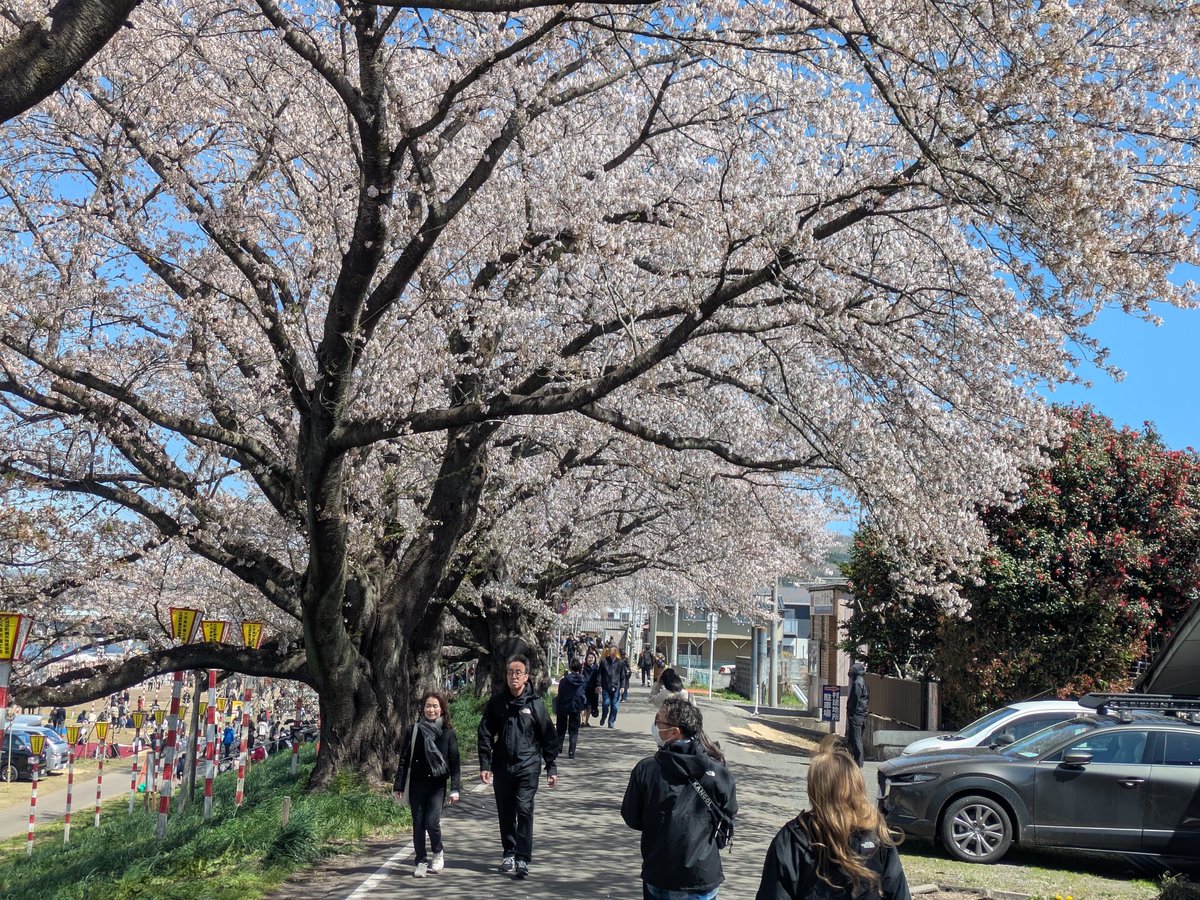 たま 5月6日出場予定 tweet media