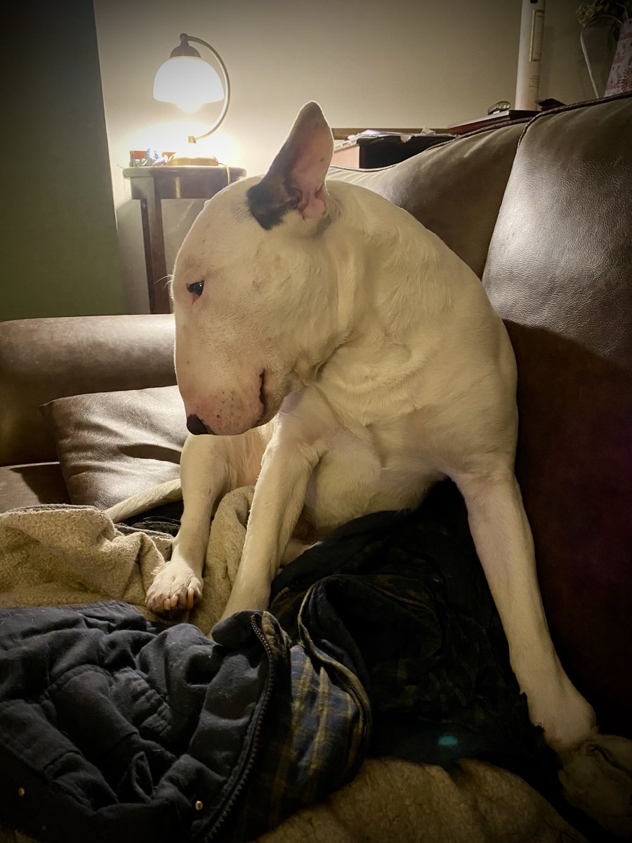 Broom2000 tweet media