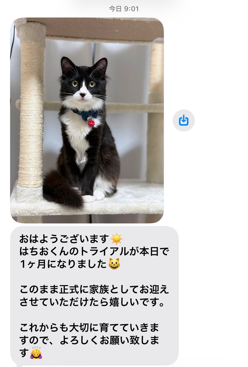 nako-sun tweet media