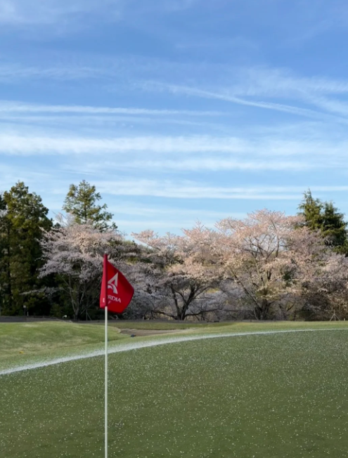 IJ_BF5's tweet photo. 春の空気と一緒に、ナイスショット🌸⛳️✨
静かな時間がいちばん好き💛
#ゴルフ #春の景色 #桜 #リフレッシュ #朝活 https://t.co/AQbX198SVh