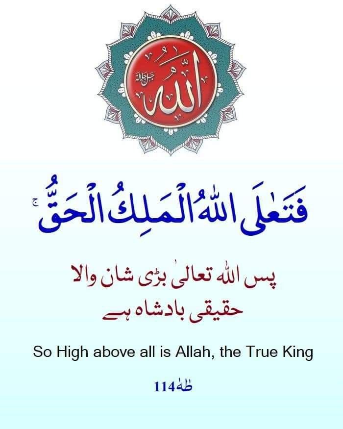 Bushra Awan tweet media