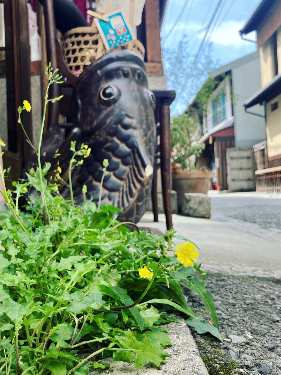 ミミズクヤ tweet media