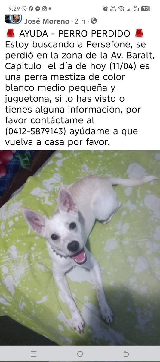 neo999's tweet photo. La buscan por la Av Baralt, Capitolio, Caracas 04125879143 difundir Urgente @PerroUsuario https://t.co/pJwj1C36S9