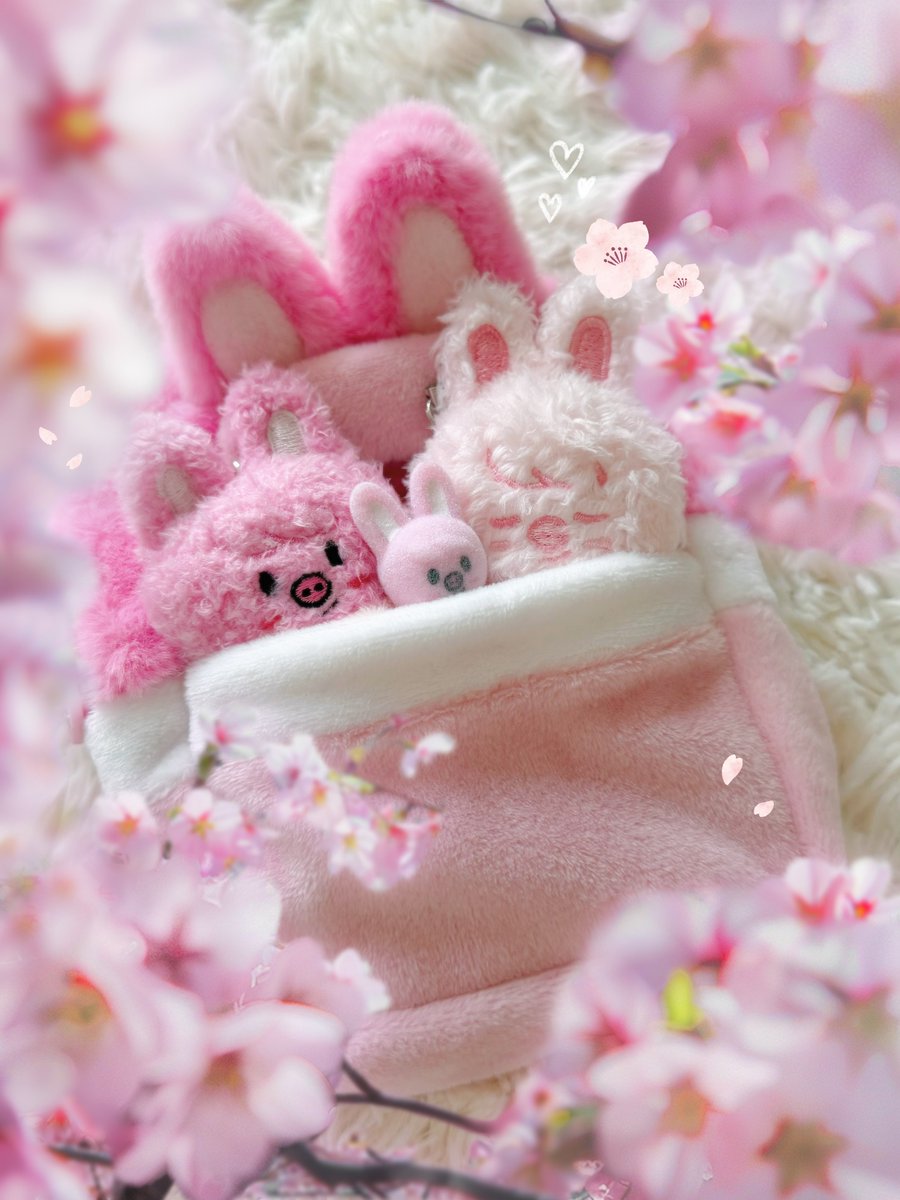 𝗟𝗜𝗦𝗔 tweet media