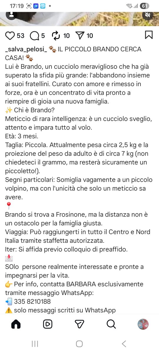 Annina🇮🇹 (@annina_cutillo) on Twitter photo 