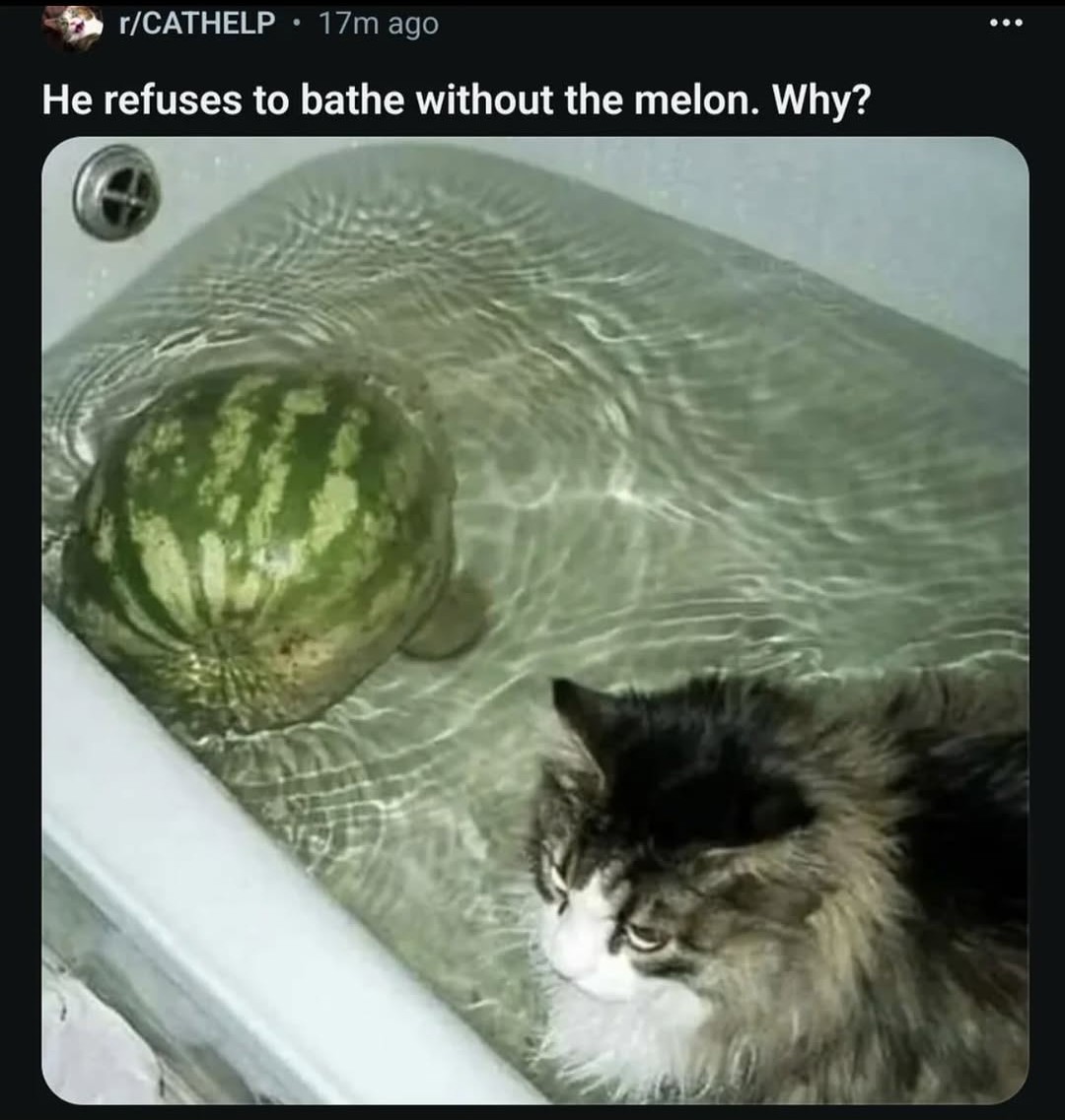 Reddit But Funny tweet media