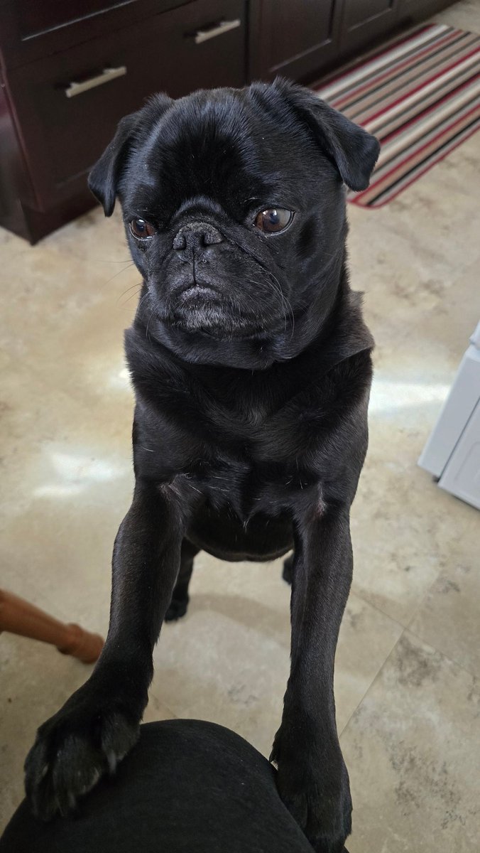 TheeKarmaGuy🇨🇦ViveLeCanada tweet media