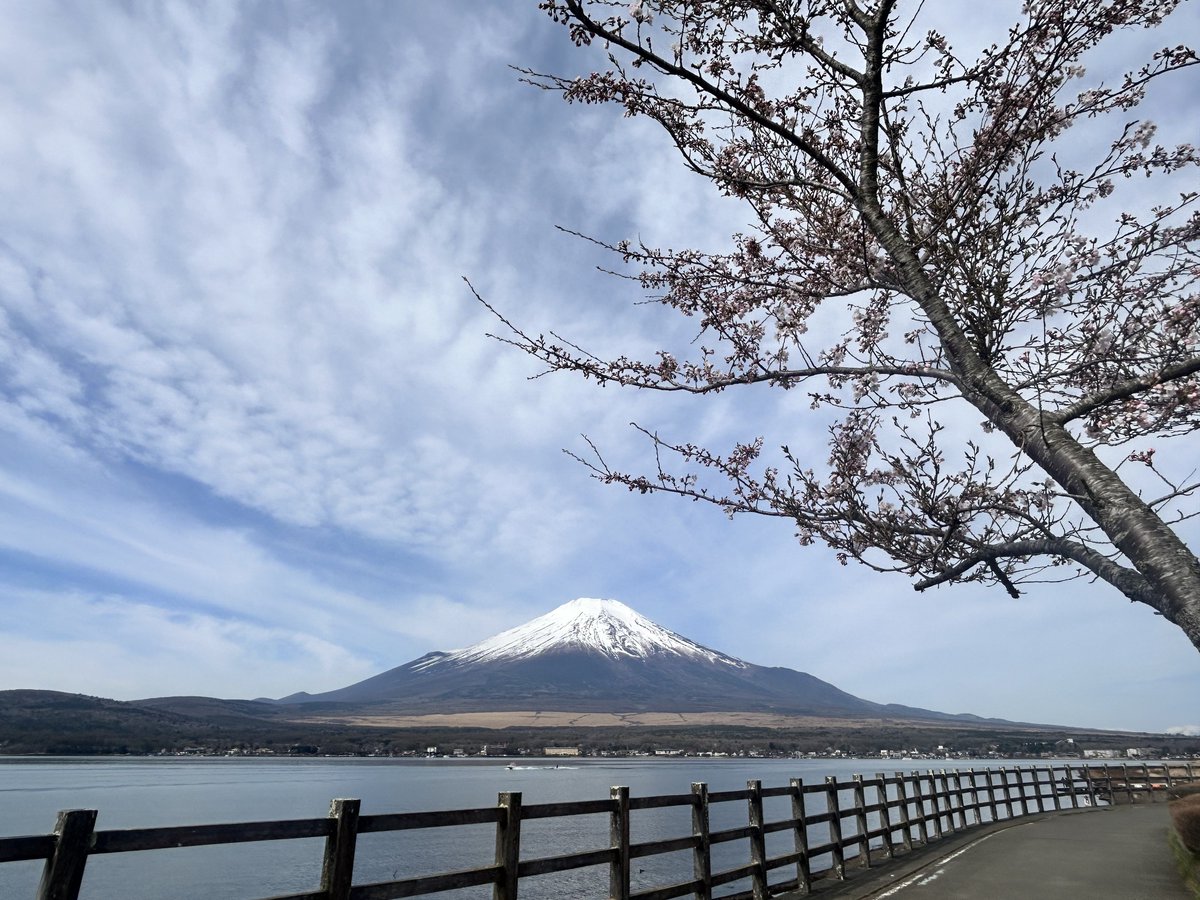 ˗ˏˋ 𝘊𝘩𝘢𝘤𝘰 🍃 𝘊𝘢𝘮𝘱 ˎˊ˗ tweet media