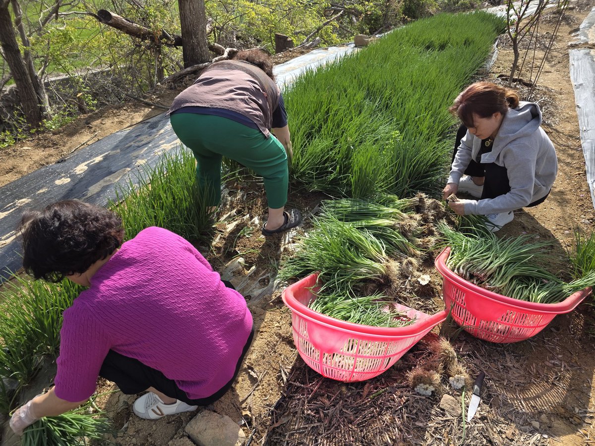 연  하 니 tweet media