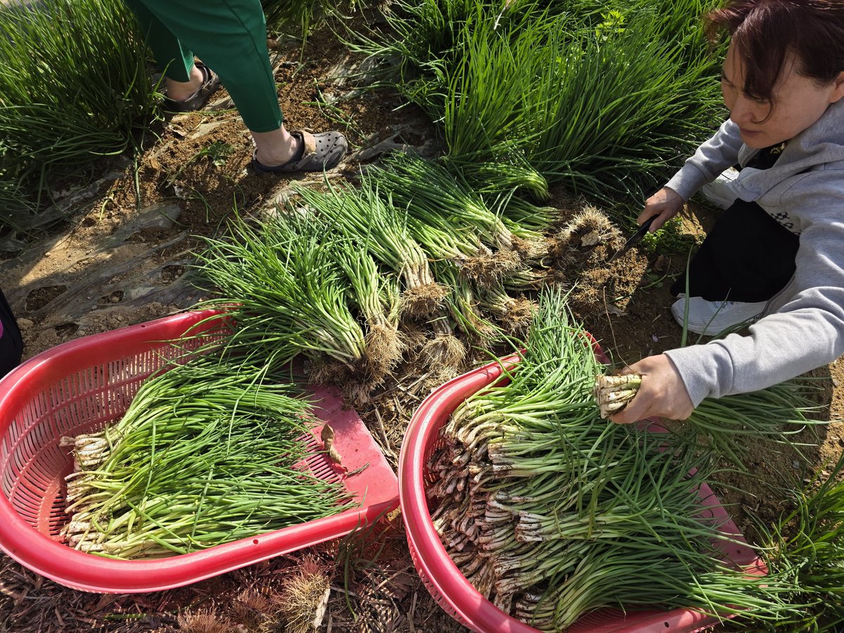 연  하 니 tweet media