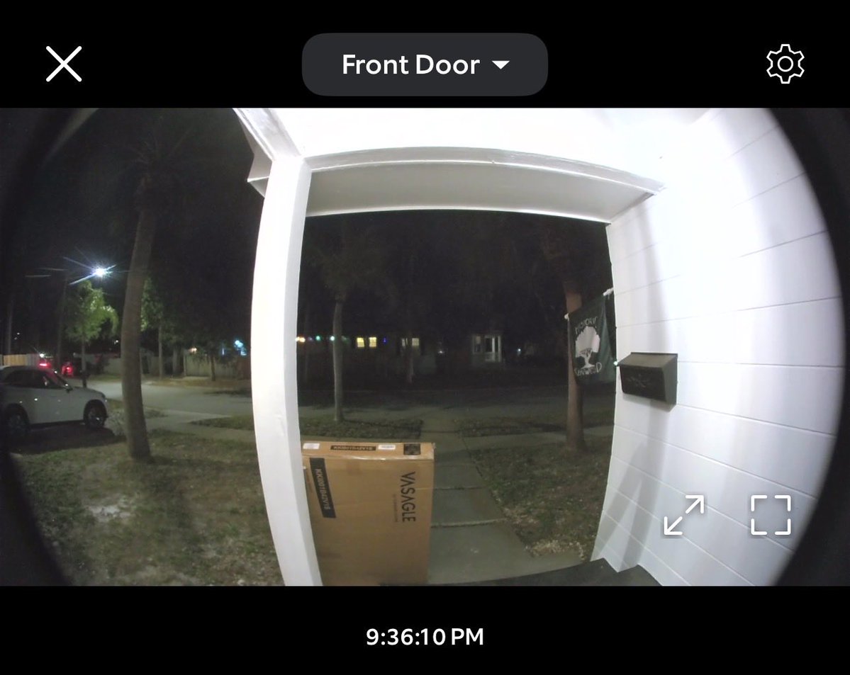 Elizabeth Bee tweet media