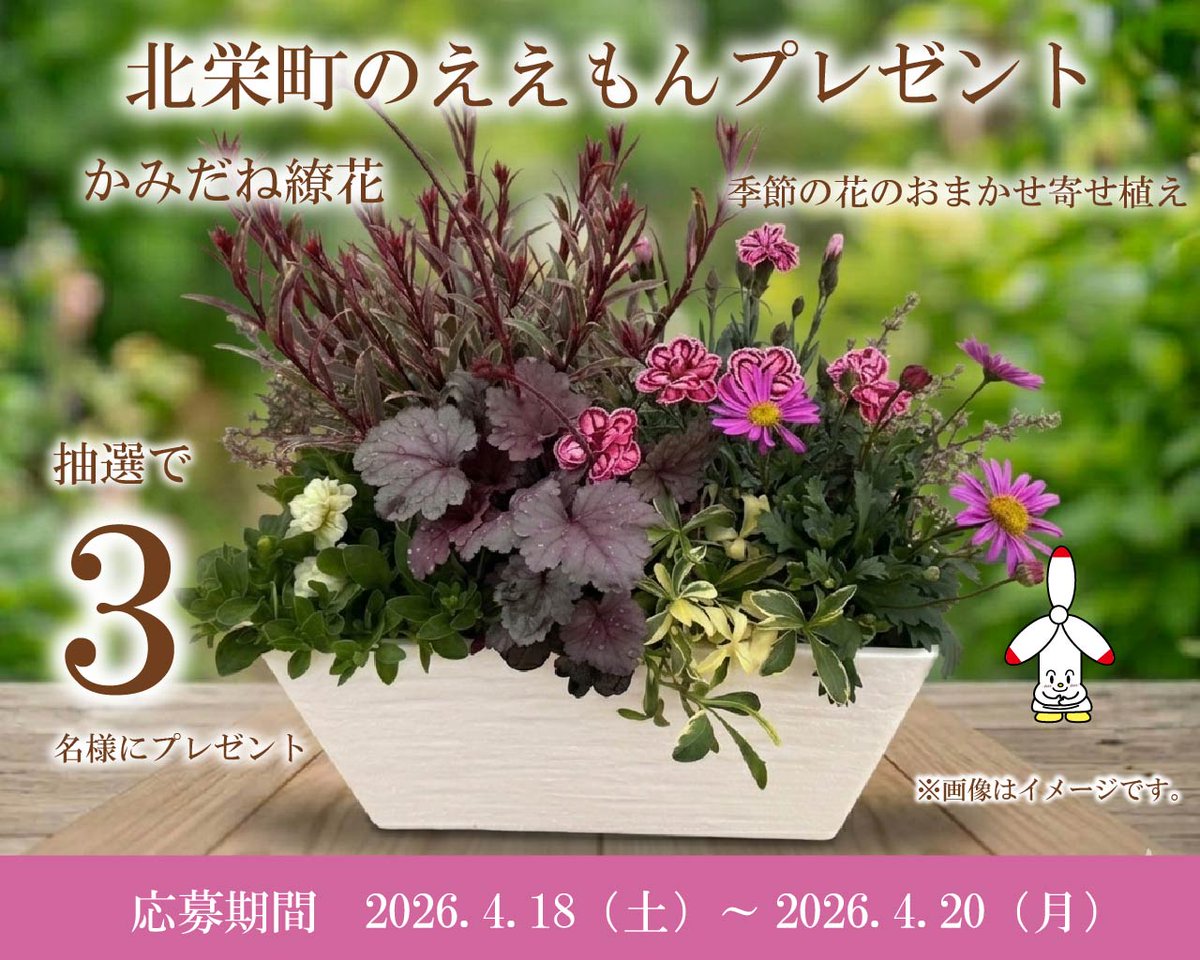 【北栄町のええもんプレゼント】
かみだね繚花「季節の花のおまかせ寄せ植え」を抽選で3名様へプレゼント🌼

★応募方法★
期間：2026/4/18（土）～4/20（月） 
① <a href="/Hokuei_TA/">（一社）北栄町観光協会</a>  をフォロー
②この投稿をリポスト
※当選者へDM送付します

🌷かみだね繚花について🌺
kamidaneryoka.wixsite.com/home