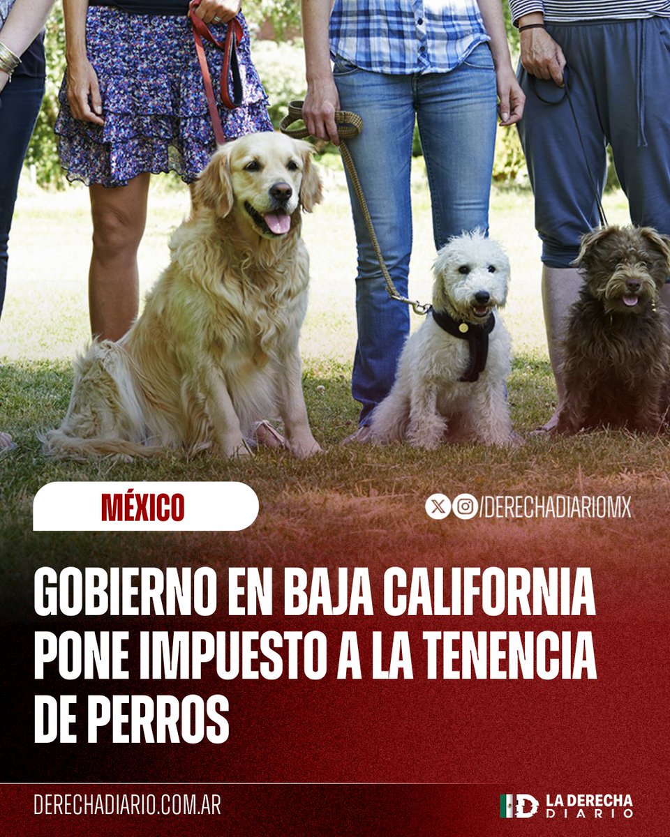 La Derecha Diario México tweet media