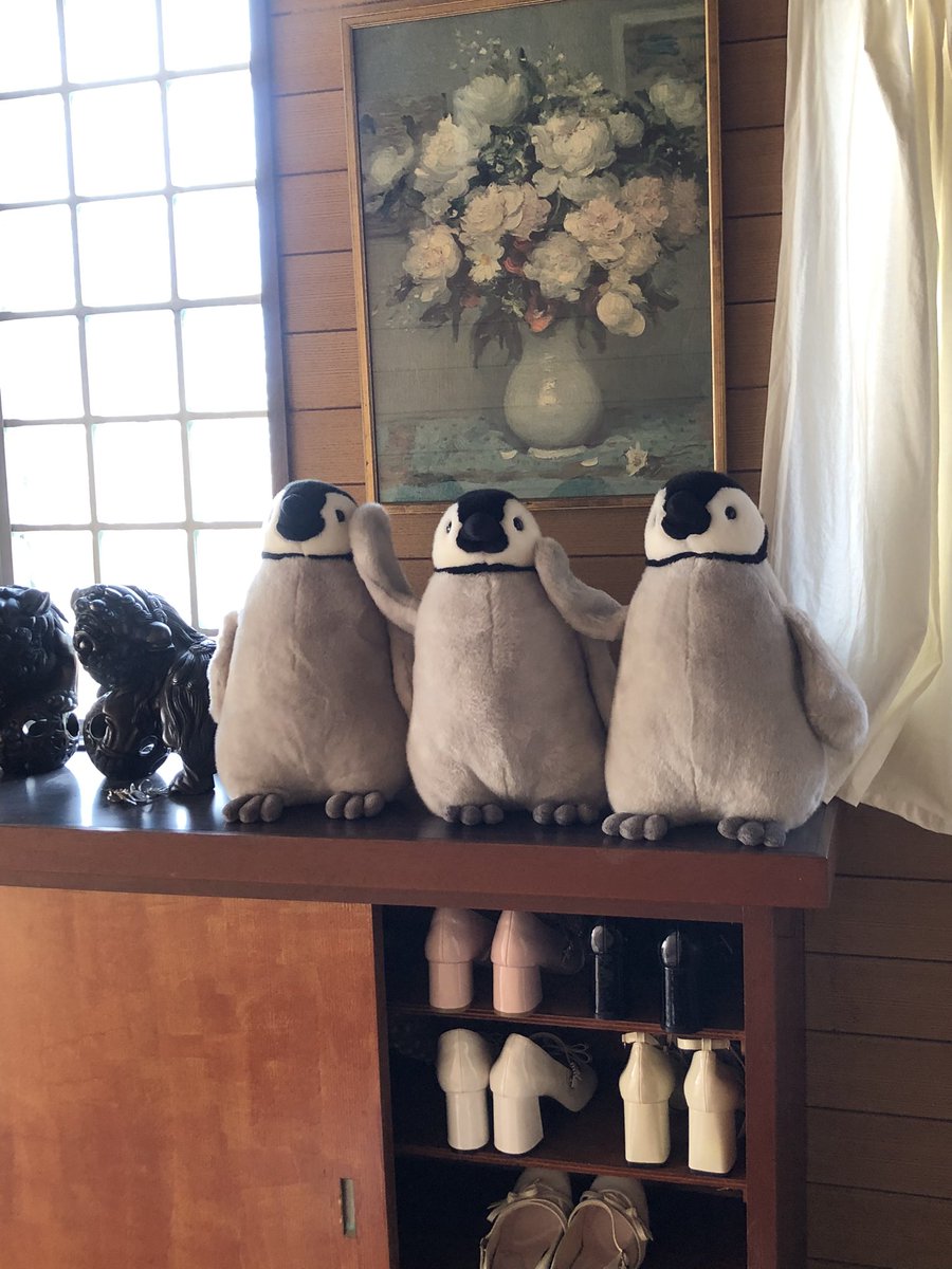 内岛氏理🐧 tweet media