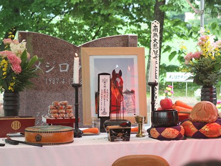 Tomy Ryan🇸🇪 tweet media