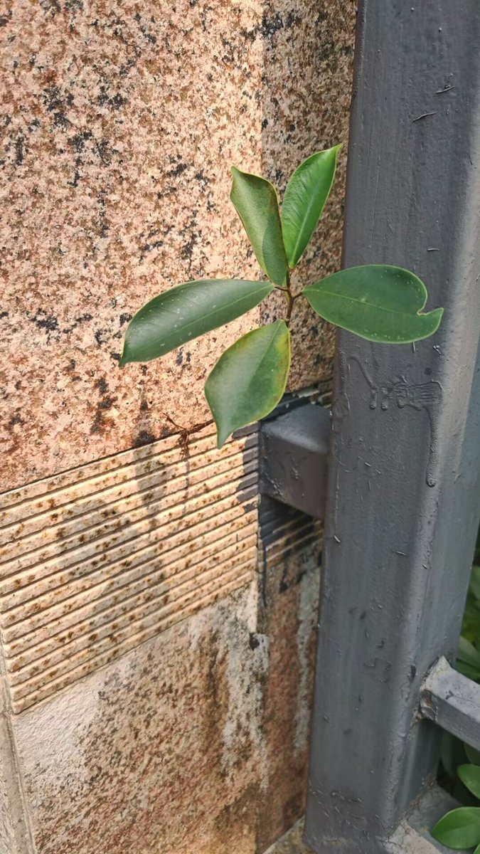 err_996 (@996err) on Twitter photo 