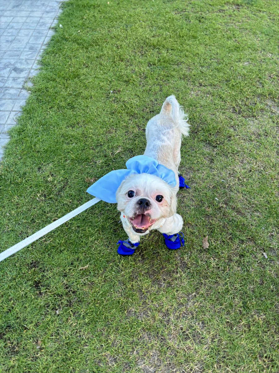 Keam🎈 tweet media