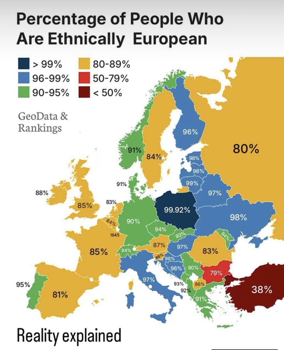 Daniel Foubert 🇵🇱🇫🇷 tweet media