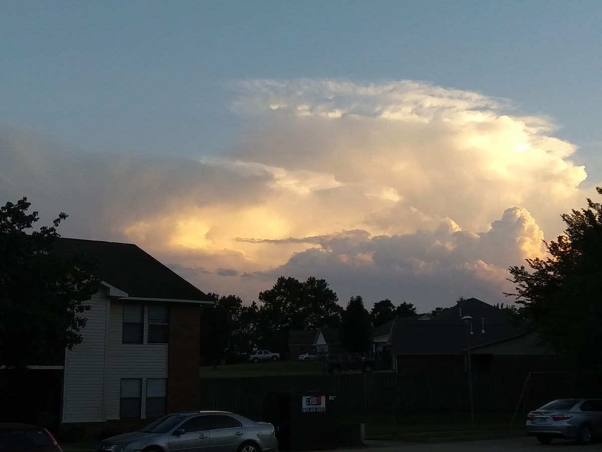 Snessy 👽🎮💗 tweet media