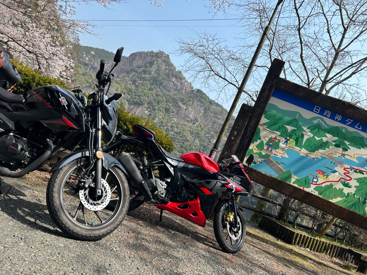 ReoRaira's tweet photo. 3/28 福岡県お花見ツーリング
八女市日向ダムへ
7.8部咲でした🌸
お昼は『道の駅 たちばな』『四季のお料理 志らとり』で志らとり膳（天ぷら）¥1,500-をいただきました.
サクサクで色々な天ぷらがあり,なんとご飯はおかわり無料でした！このご時世ありがたかったです。誠に美味でした,ご馳走様でした✨ https://t.co/ydiSNRjkpq