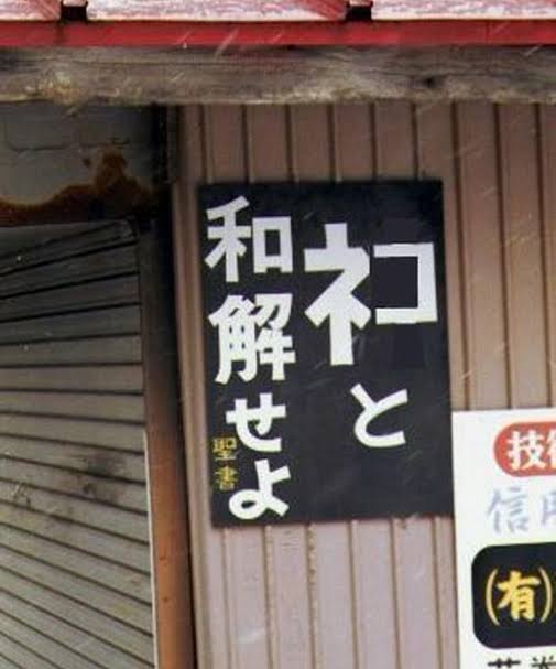 Vatanabeus tweet media