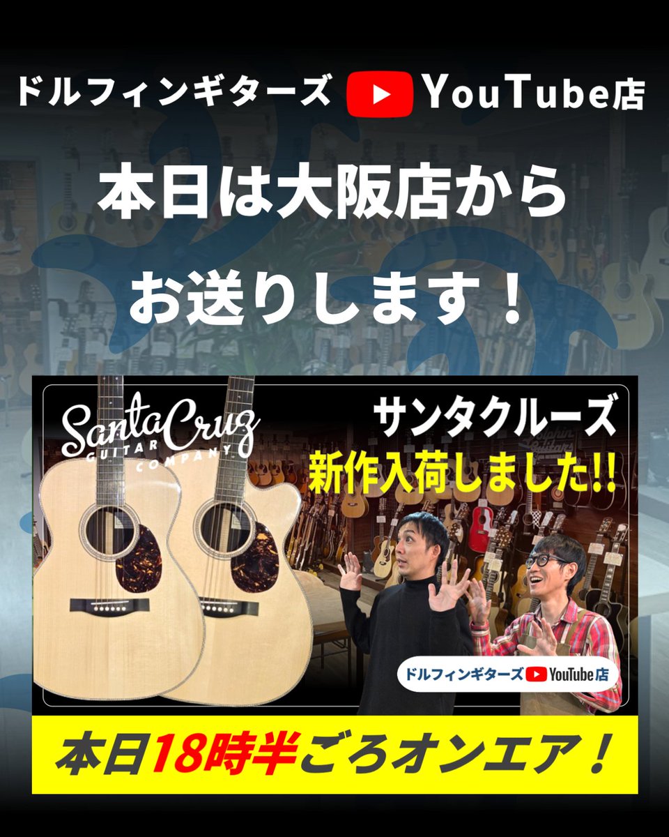 ドルフィンギターズ tweet media