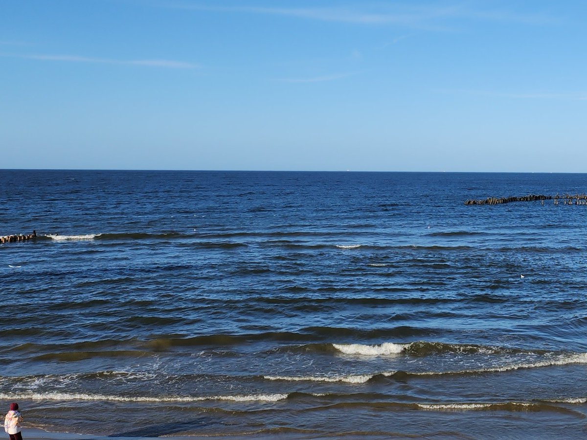 Magie im Blick tweet media