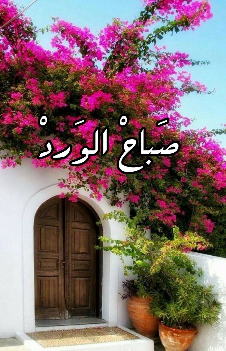 @Alibaba tweet media