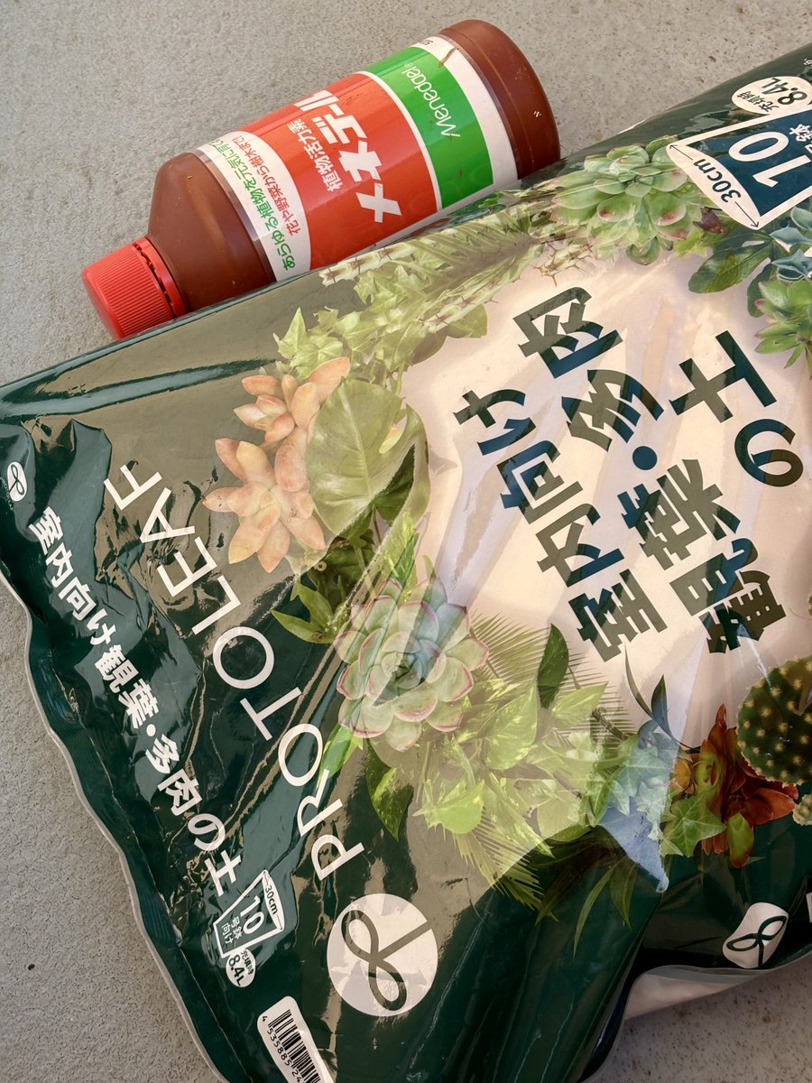 植え替えのお供🪏