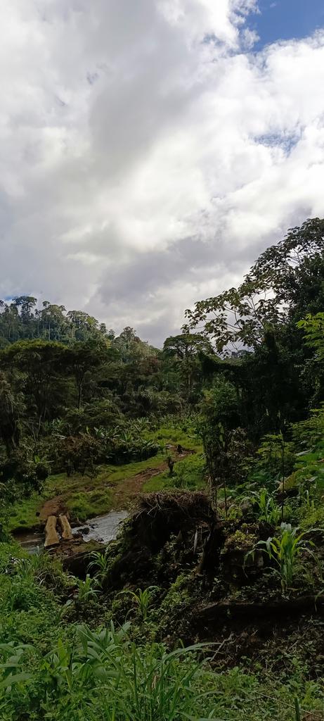 Tangwa Abilu.🌿🌏🌾🍀🍃.SDG's. tweet media