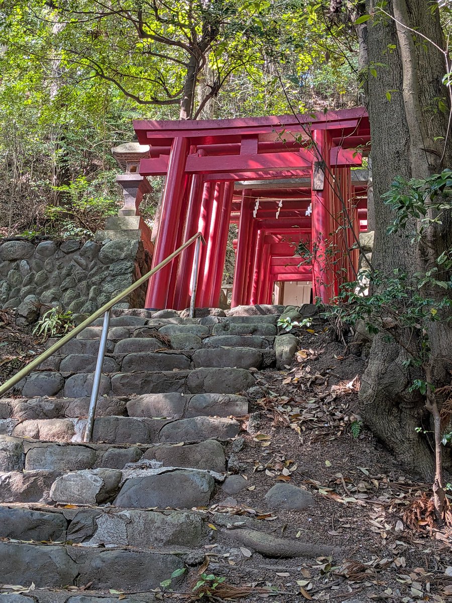 WaiTOMO☂️🪼 tweet media