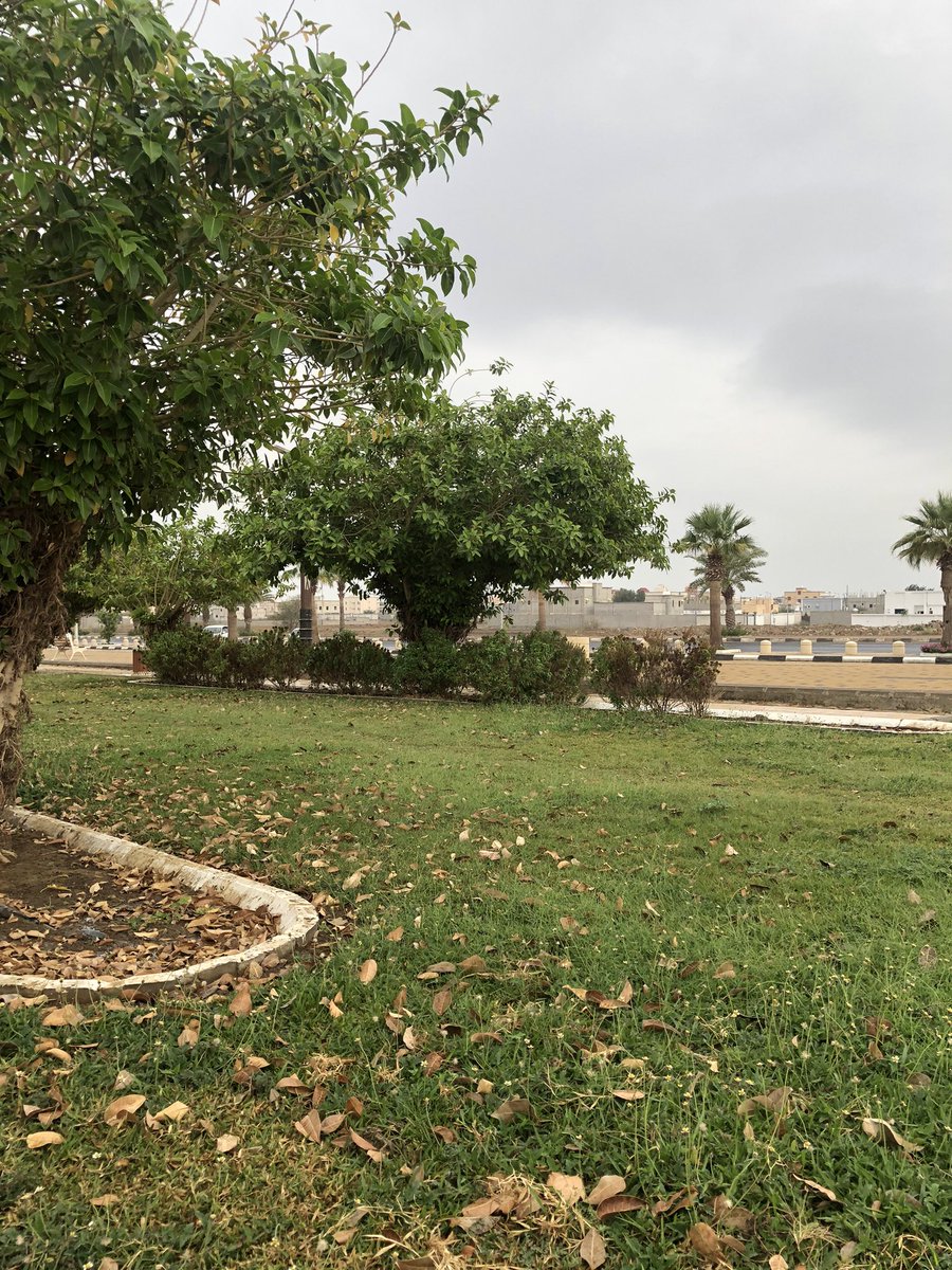 Abo Saud tweet media