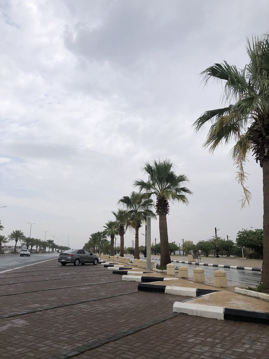 Abo Saud tweet media