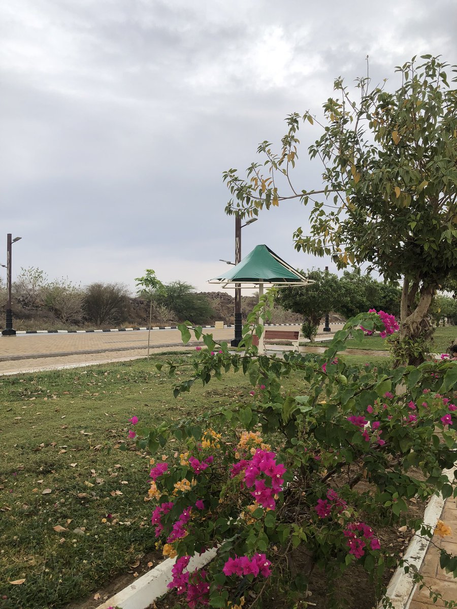 Abo Saud tweet media