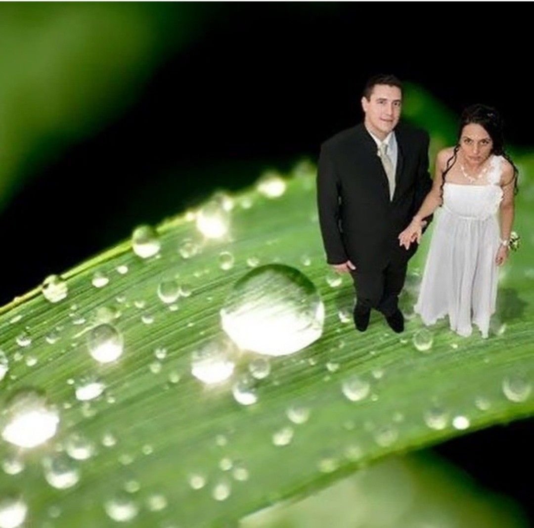 OCYumePrompts tweet media