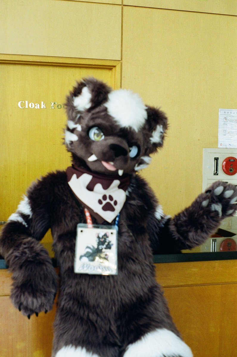 건덕불곰 🔜 수코(양일) tweet media