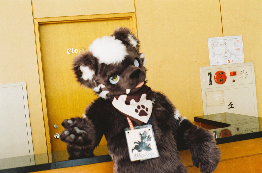 건덕불곰 🔜 수코(양일) tweet media