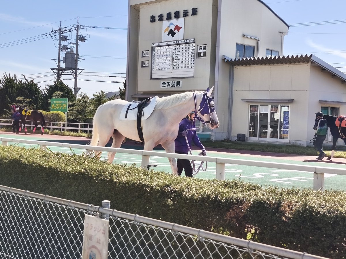 憩 水際 tweet media