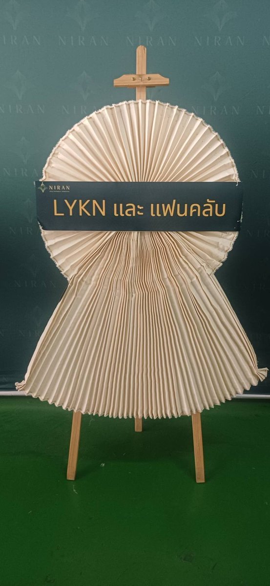 BELONG with TUI tweet media