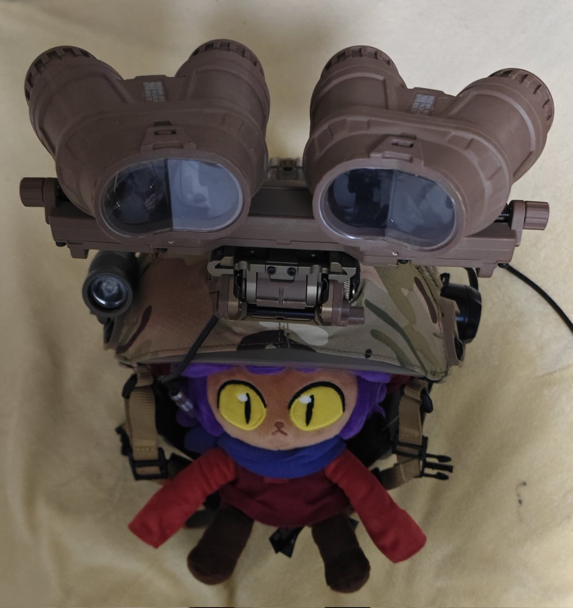 ΦωΦ#ǝsıɐuɹɐǝq ɯɐls tweet media