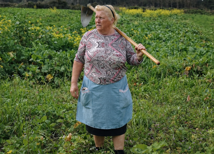 MHA Yeni Sayfa tweet media