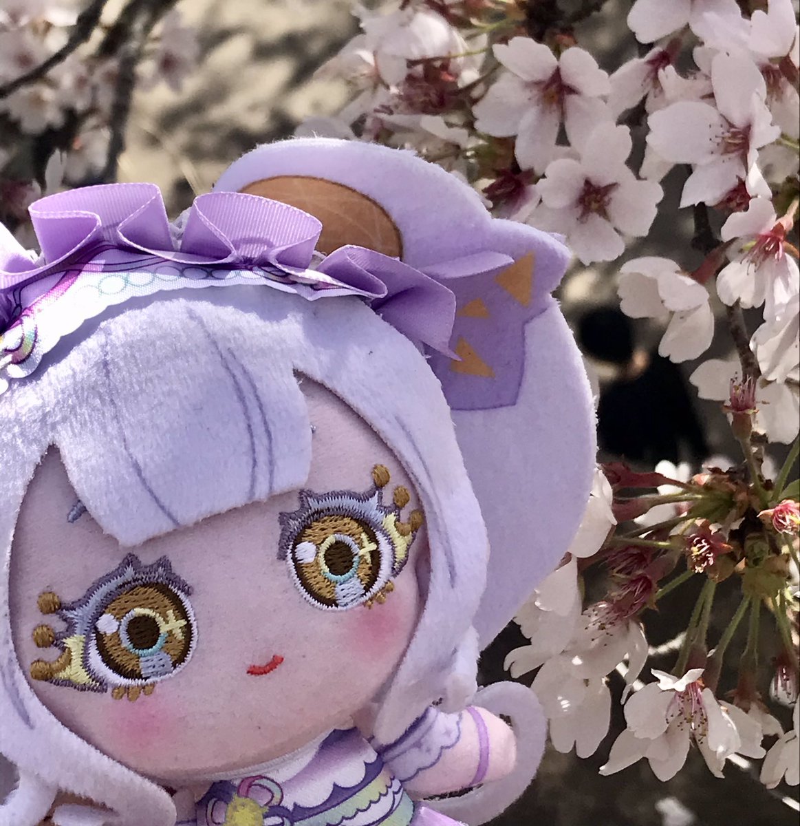 にもの tweet media