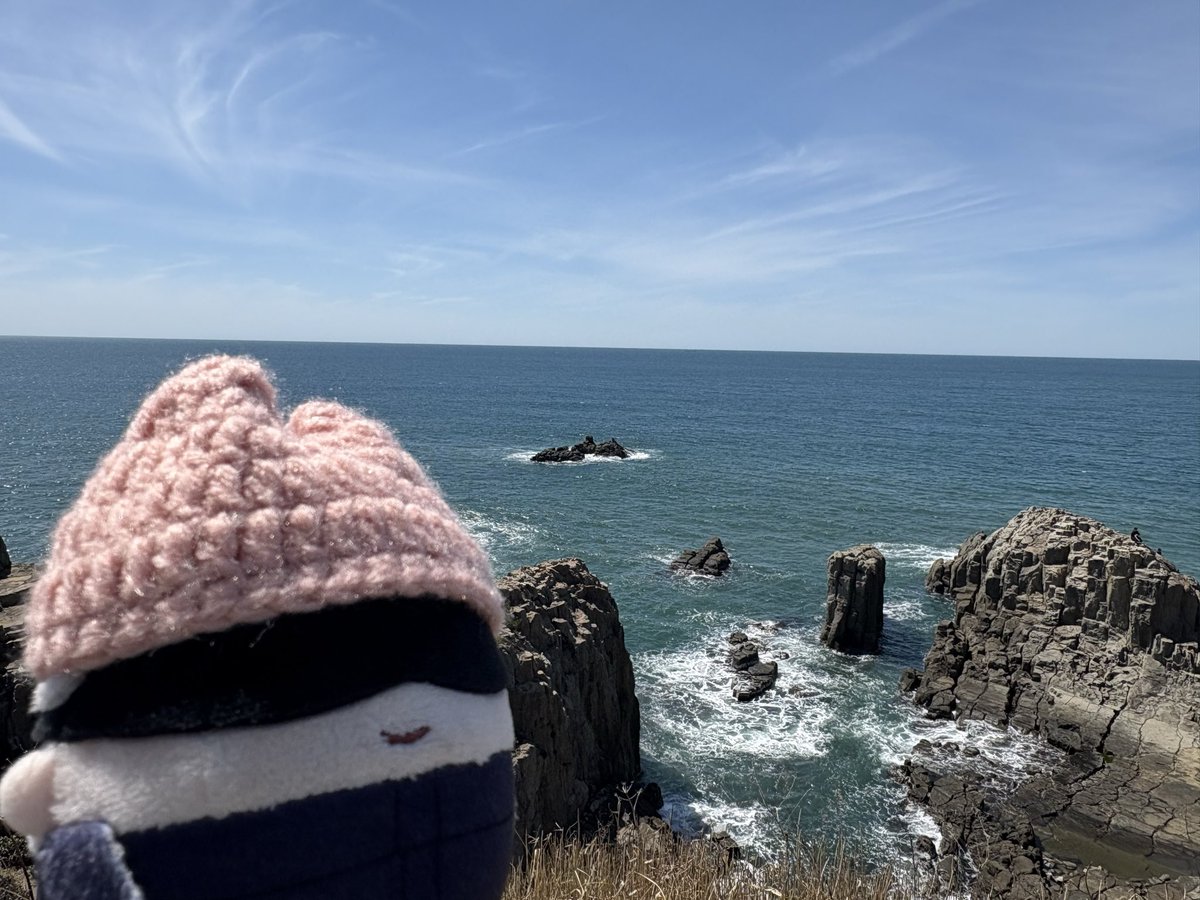 cat0risenko's tweet photo. お昼の東尋坊は平和だよ https://t.co/YdA5wEcuHV